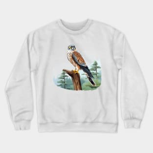 Kestrel Crewneck Sweatshirt